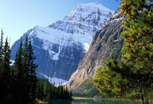 QQ账号解冻解除限制登录 深度解冻思路 隐藏功能“人工豁免轻度”