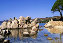 抖音回不了消息解决方法